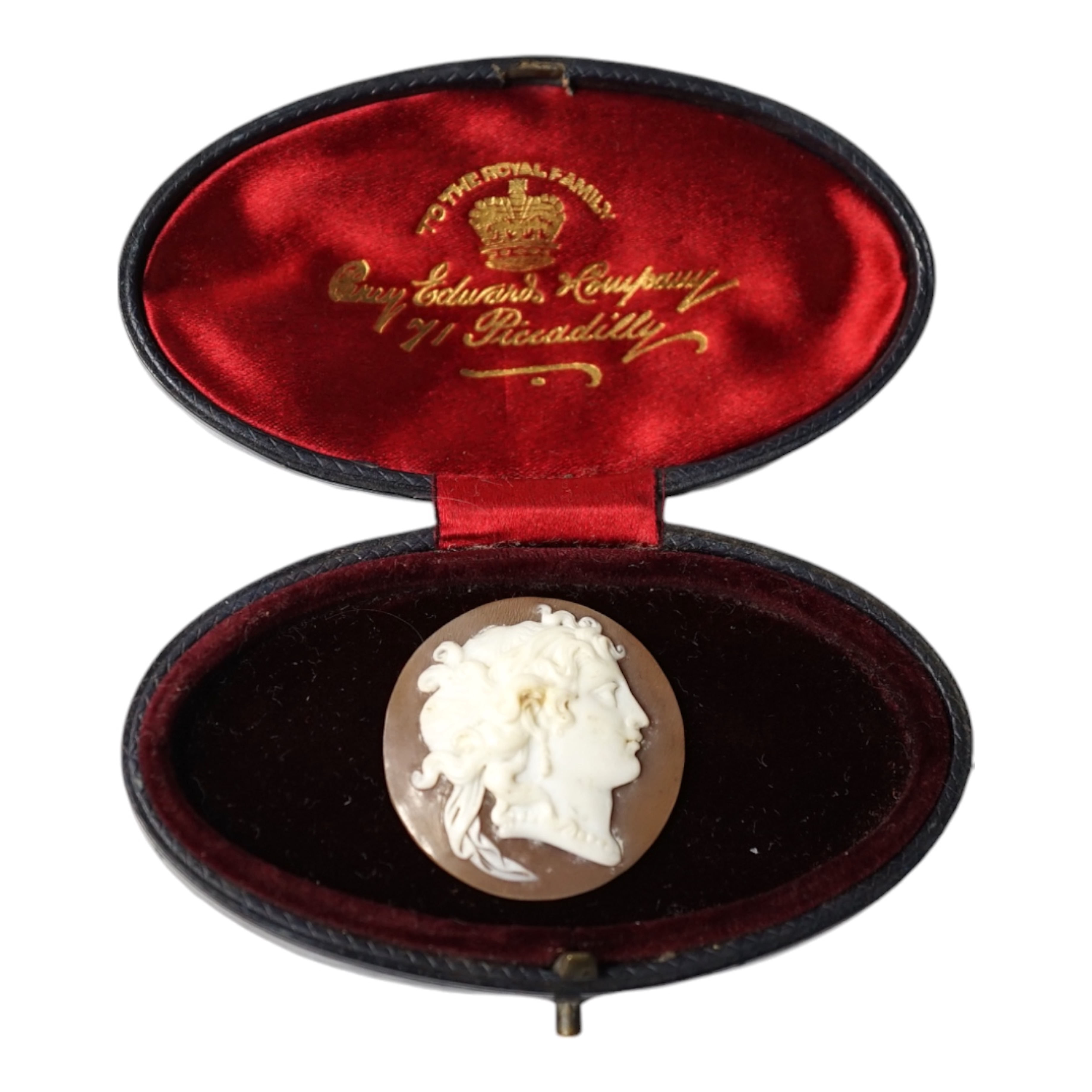 An unmounted circular cameo shell, carved with the bust of a lady to sinister, together with a leather box. Condition - good